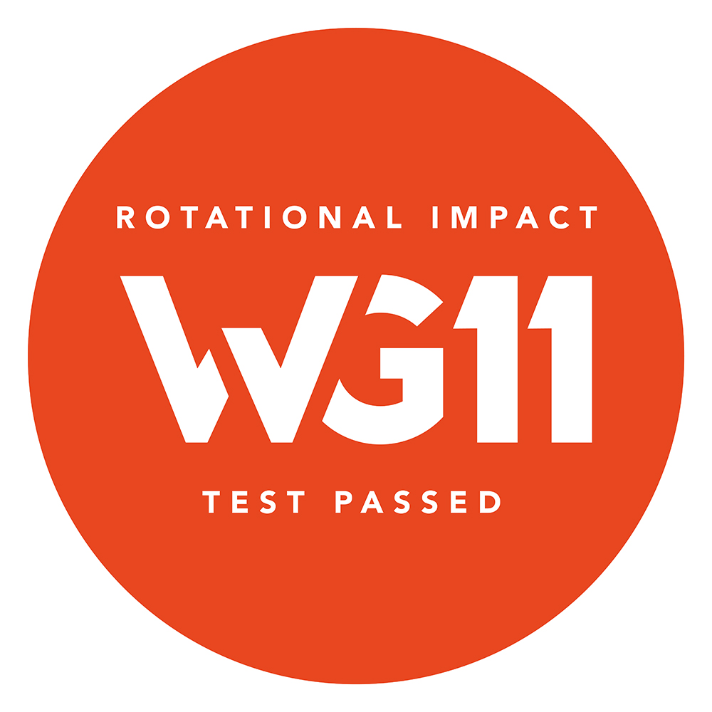 WG11 logo